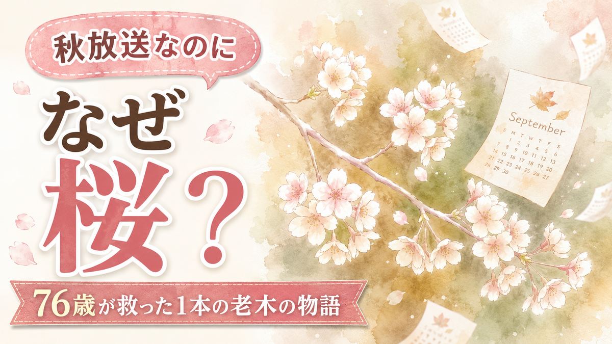 ブラッサムポスター桜を見上げる横顔のイラスト
