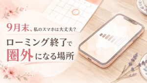 デュアルSIMで楽天モバイルとpovoを併用する仕組みを示すイメージ